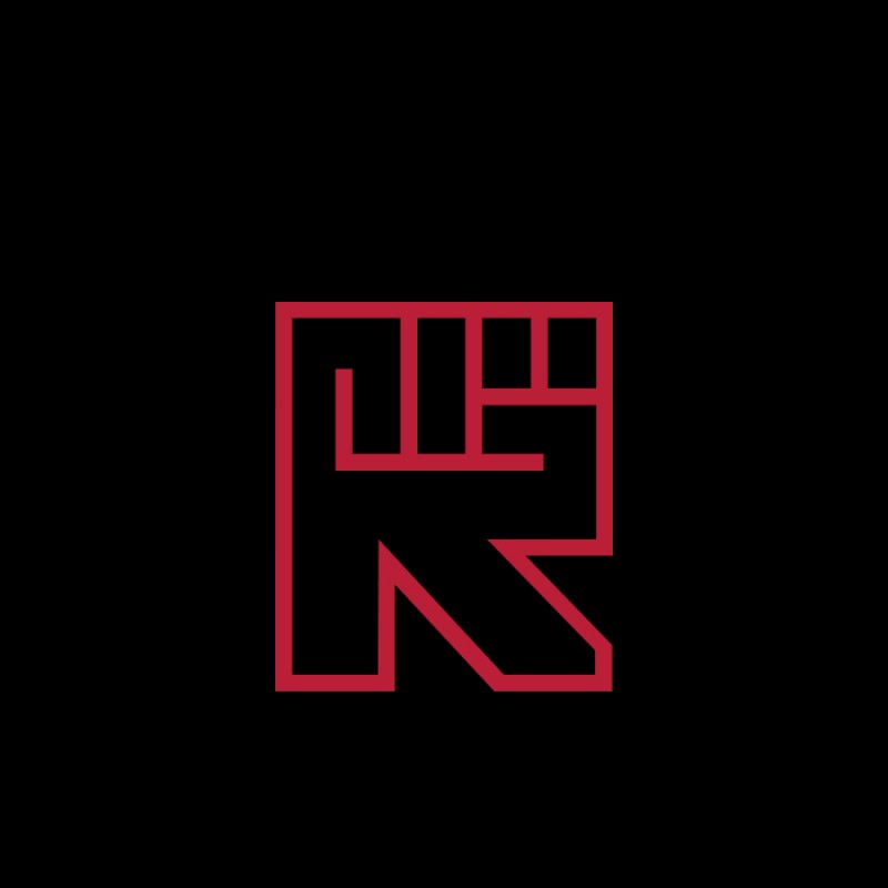 REDISTANCE BOX LOGOR HOODIE RDU224TM01-2020