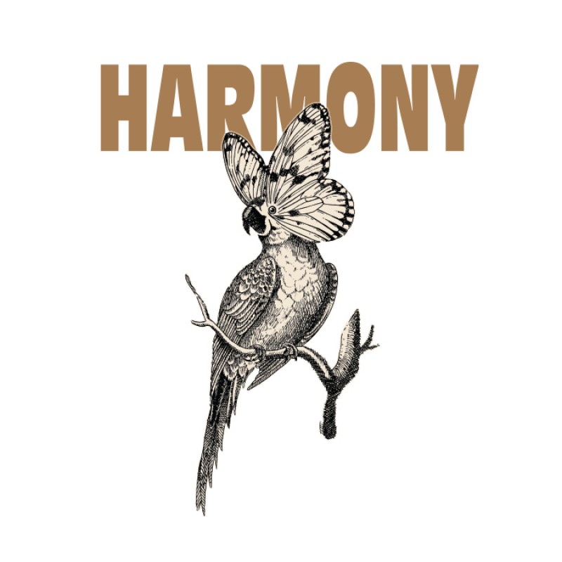 TATOO HARMONY TEE TAT125TB1-1818
